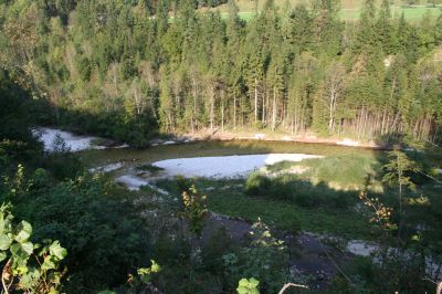 Blick vom Südende von St. Pankraz in die Teichlschlucht; Teichl mit großer, teils gehölzbestockter Schotterinsel mit Pioniervegetation mit Pestwurz und Strauchweiden 