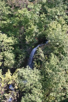 Bewaldeter Schluchteinhang an der Steyrbrücke bei Leonstein/Molln: in die Schlucht mündender Seitenbach mit Wasserfall 