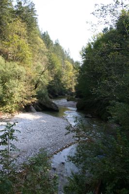 Schlucht der Krummen Steyrling kurz vor der Mündung in die Steyr; Molln, Ortsteil Zinken,