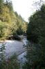 Schlucht der Krummen Steyrling kurz vor der Mündung in die Steyr; Molln, Ortsteil Zinken,