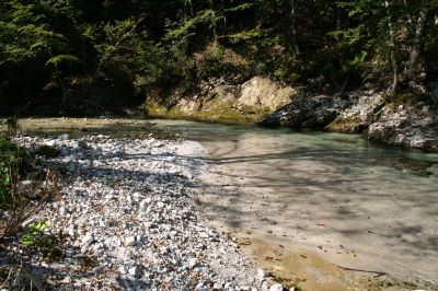 naturnaher Verlauf der Steyrling 