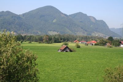 Mollner Becken, Blick Richtung Ortsteil Zinken bzw. Steyr: Intensivwiesenlandschaft mit eingestreuten Einzelgehölzen und Stadeln, hier vom Siedlungsrand her Zersiedelungstendenz 