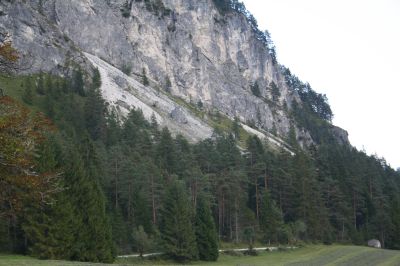 Grenzbereich der Raumeinheit im Stodertal im Bereich Polsterlucke: Felsen der angrenzenden Raumeinheit Kalk-Hochgebirge, unterhalb die zum Talraum zählenden Schutthalden mit an seltenen Arten reichen wärmeliebenden Schuttfluren und Schneeheidekiefernwälde