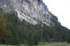 Grenzbereich der Raumeinheit im Stodertal im Bereich Polsterlucke: Felsen der angrenzenden Raumeinheit Kalk-Hochgebirge, unterhalb die zum Talraum zählenden Schutthalden mit an seltenen Arten reichen wärmeliebenden Schuttfluren und Schneeheidekiefernwälde