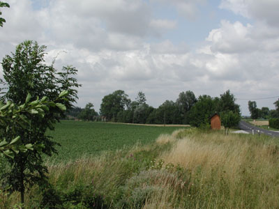 Hochstauden bzw. Grassaum entlang des Stallbaches 