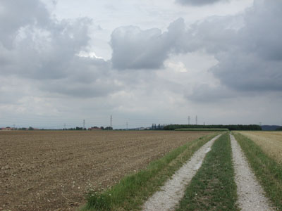 Hochterrasse mit landwirtschaftlichen Flächen 