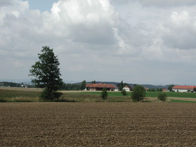Hochterrasse bei Hargelsberg mit landwirtschaftlicher Siedlung 