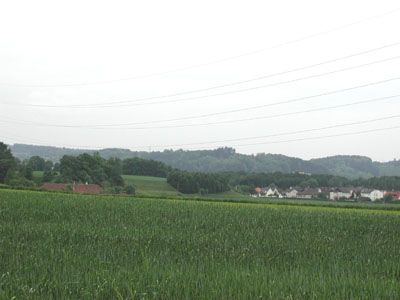 Blick über die Niederterrasse zur Hochterrassenkannte 