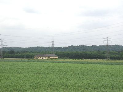 Niederterrasse bei Winkling 