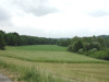 Niederterrasse entlang der Enns 