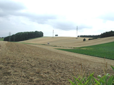 Übergang von der landwirtschaftlich genutzten Hochterrasse zum Traun-Enns-Riedelland 