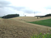 Übergang von der landwirtschaftlich genutzten Hochterrasse zum Traun-Enns-Riedelland 