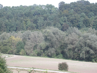 Weiche Au bei Steinfeld