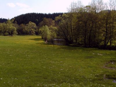 Ufergehölzsaum und feuchte Mähwiesen an der Großen Mühl bei der Fuhrtmühle südlich St. Oswald bei Haslach 