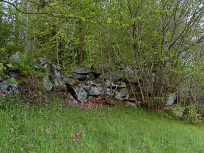 Lesesteinmauer mit begleitenden Gebüschen östlich von St Stefan am Walde 