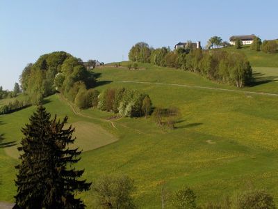 Durch Heckenzüge und Lesesteinwällde gegliederter Hang nördlich Kronabittedt zwischen Haselgraben und Eidenberg 