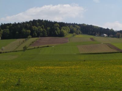 kleinräumige, ursprüngliche Feldstrukturen mit Rainen und kleinen Heckenzügen östlich Mistlberg