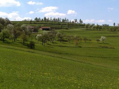 Streuobstbestände und Stufenrainlandschaft südlich von Ödenkirchen bei Ulrichsberg