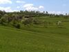 Streuobstbestände und Stufenrainlandschaft südlich von Ödenkirchen bei Ulrichsberg