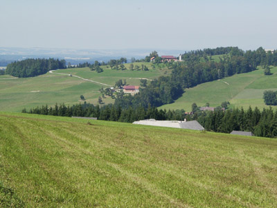 Raumtypische Geländeform auf sanfter reliefierten Hängen mit Obstbaumwiesen, Kleinwäldern, Feldgehölzen und größeren Waldbeständen (Rücken und Hänge im Südosten von Kirchham) 