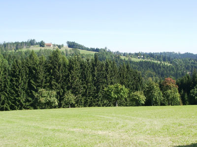 Waldfreier Rücken der Kulturlandschaft als raumtypische Geländeform: Reichstrukturierte Grünlandinsel in waldbetontem Großwald (zwischen Kirchham und Viechtwang in Westteil des AKF) 