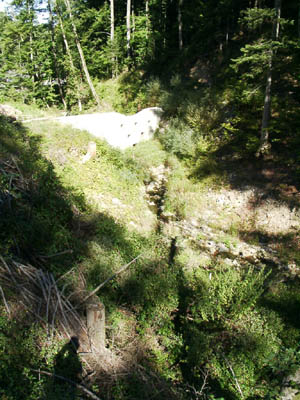 Geschiebesperre an der Laudach im Waldbereich 