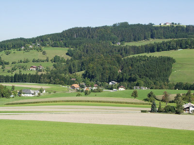 Mosaik aus im Gebiet eher seltenen Ackerflächen, inselartigem Grünland und Großwald (Maisanbau im Tal bei St. Konrad)