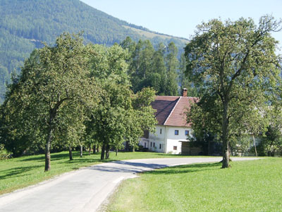 Landschaftstypische Hofform mit umrahmenden Obstbaumbeständen (zwischen Kirchham und Viechtwang im Westteil des AKF) 