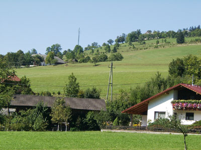 Beginnende Sukzession an Wiesenböschungen, verzahnt mit Einzelbäumen, kleinen Hecken und Obstbaumbeständen (Hänge nordöstlich von Steinbach am Ziehberg im Mittelteil des AKF)