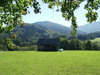 Geschlossene Wälder, die hier im Südwesten stärker reliefiert sind (nahe Laudachsee)