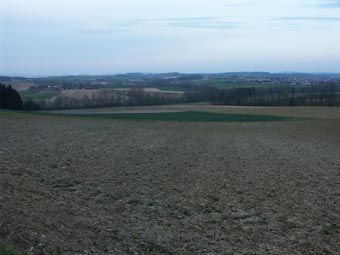 Agrarisch geprägtes Schliergebiet bei Marbach (Ried/Riedmark): Wald tritt hier nur in Form von Augehölzzonen auf. 