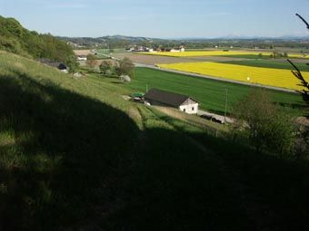 Standort wie bei Foto 31020: Blick über das Machland, links die ausgeprägte Hangzone der Südlichen Mühlviertler Randlagen mit zahlreichen trocken-warmen Standorten.