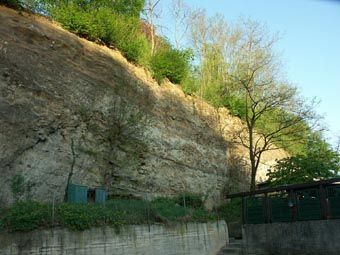 Ausgeprägte Sandsteinwand am Stadtrand von Perg.