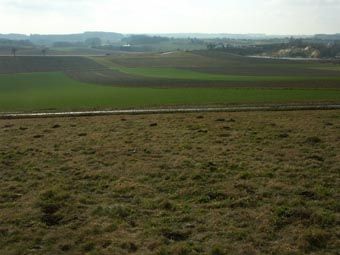 Blick über Extensivwiese auf offenes Agrargebiet und Sandgrubenbereiche (rechts hinten) bei Prambachkirchen.