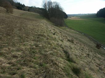 Pflegeausgleichsfläche in Eitzenberg bei Waizenkirchen: einmähdig genutzte ehemalige Ackerterrassen; Böschung brach liegend und hinten verbuscht bis verwaldet.