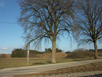 Zwischen Manzing und Weinzierlbruck bei Waizenkirchen: hinten Ackernutzung und Aufforstungen auf rekultiviertem Sandgrubenbereich.