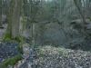 Ausgesprochene Schlucht in Sandsubstrat unterhalb einer Waldbachquelle in Dachsberg bei Prambachkirchen.