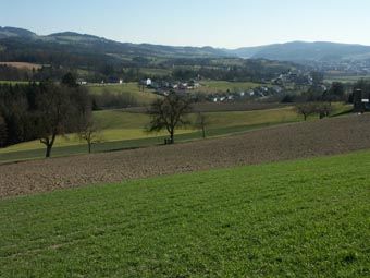 Gehölzdurchzogene Acker-Wiesen-Hügellandschaften prägen die Raumeinheit im Bereich Walding - Ottensheim, höhere Lagen im Hintergrund gehören zum Zentralmühlviertler Hochland. 
