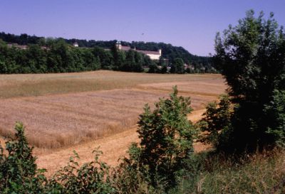 Untereinheit Aufgeweiteter Talraum mit landwirtschaftlichen Flächen und dem Stift lambach im Hintergrund 