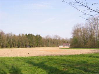 Austufe mit Gehölzen und dazwischen Ackerflächen nördlich von Mühltal