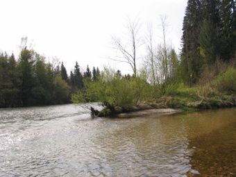 Laudach-Spitz (Zusammenfluss Alm und Laudach) zwischen Bad Wimsbach-Neydharting und Mühltal