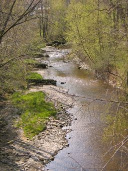 Laudach bei Kirchham mit Buhnen