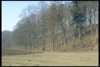 Wald an der Niederterrassenkante 