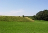 Magerwiesenböschung bei Weiterschwang mit Knabenkräutern 