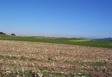 Intensive Agraglandschaft des Moränenhügellandes, Berg im Attergau 