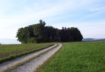 Waldschacherl bei Filzmoos 