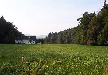 Wiesen im Aubachtal, begleitet von naturnahen Hangwäldern 