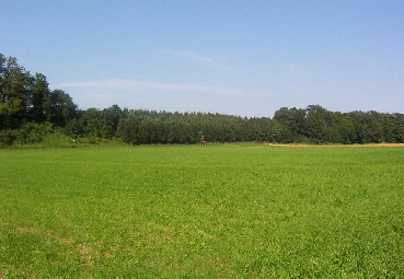 Aufforstung von ehemaligen Magerwiesen im Dürre Agertal