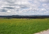 Blick auf das ebene Hochterrassenfeld des Hoad-Waldes von Weißenkirchen aus 