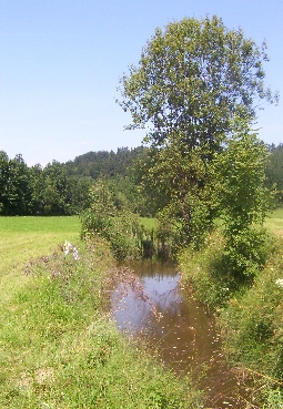 Vernässungsbereich am Hangfuß der Vöcklaleiten, als Fischteich genutzt 